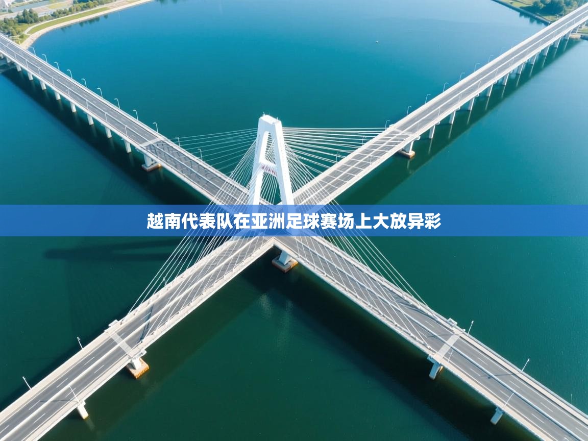 越南代表队在亚洲足球赛场上大放异彩 第2张