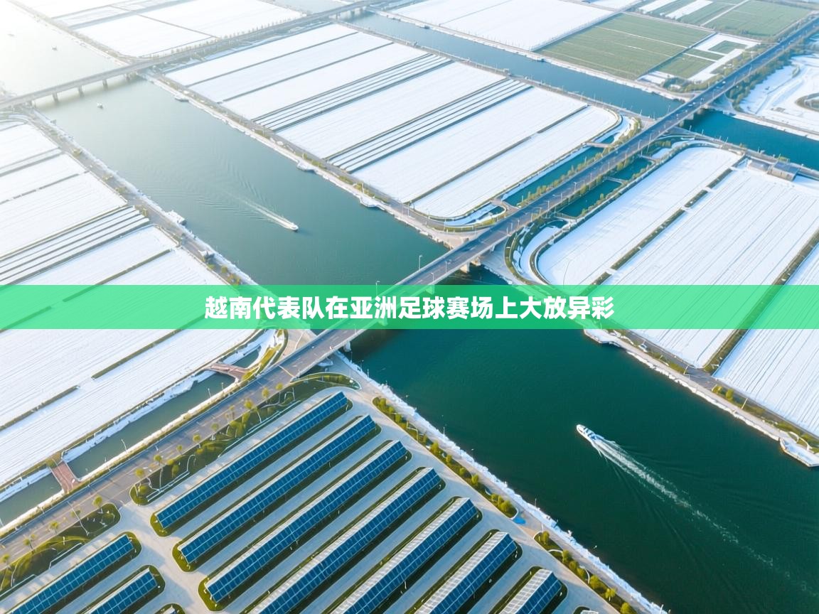 越南代表队在亚洲足球赛场上大放异彩 第1张