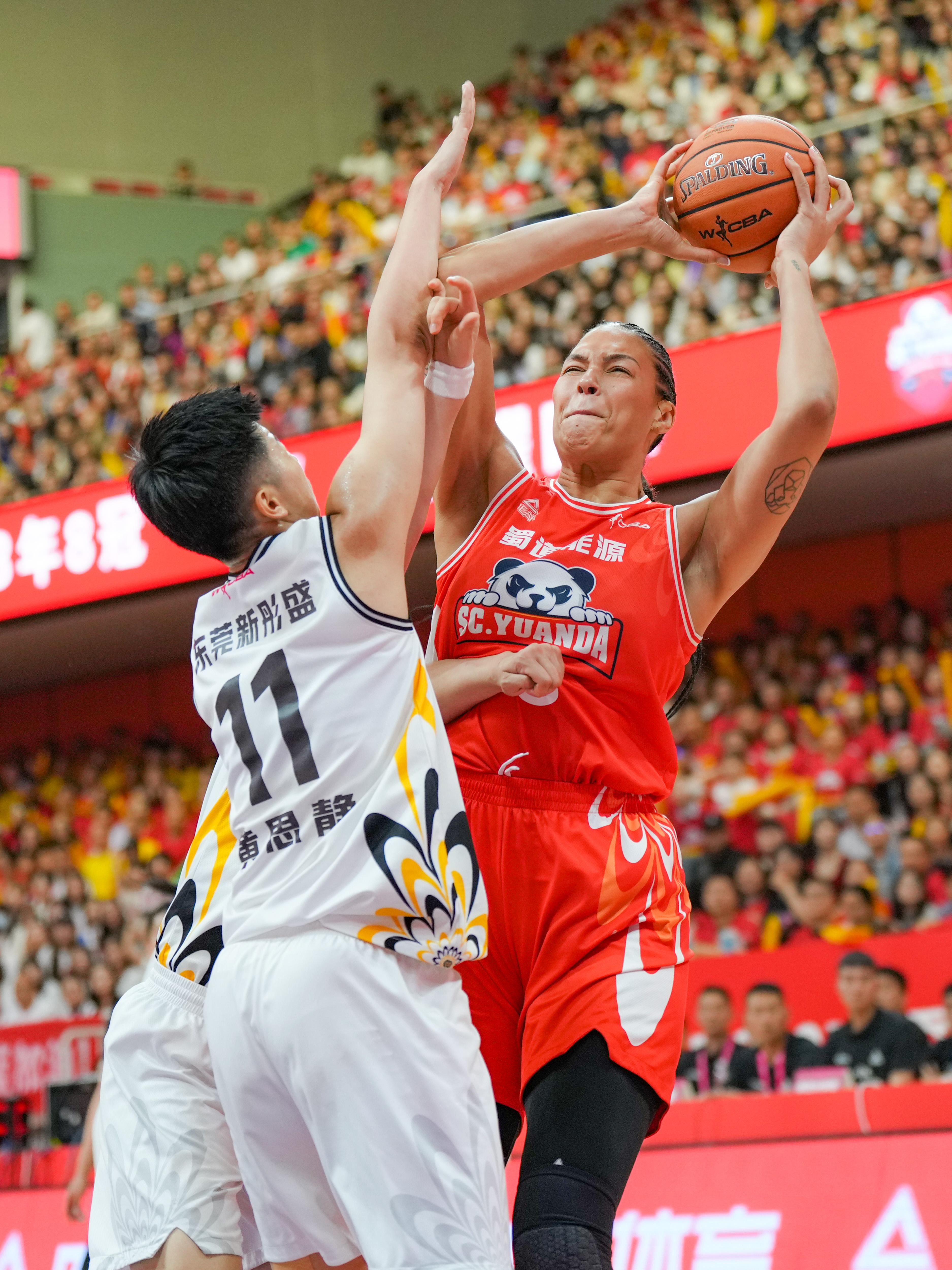 od体育直播-四川男篮在主场大比分胜出，展现出强大实力的简单介绍